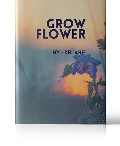 Freelancer FAQ Passtech Book