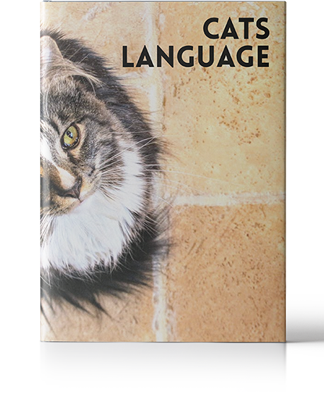 Enlight Yourself Store Book