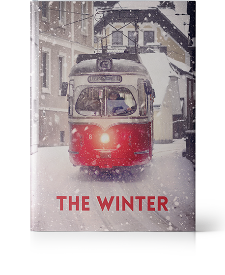 The Winter of ICE